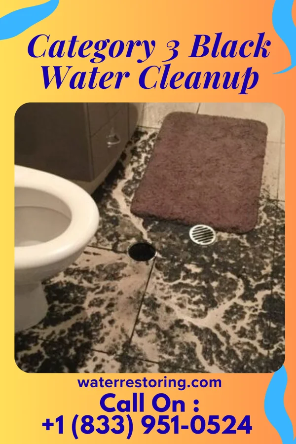 Category 3 Black Water Cleanup in Kinbrae, MN